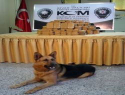 Sivas'ta 81 Kilo 695 Gram Eroin Bulundu!