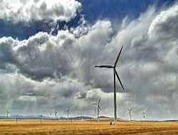 Dünyanın Her Yerinde Rüzgâr Hızı Azalıyor