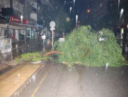 İzmir'de Şiddetli Yağış Su Baskınlarına Neden Oldu