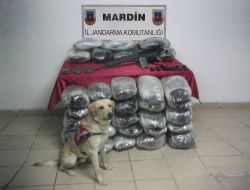 Derik'te 44 Kilogram Esrar Ele Geçirildi!