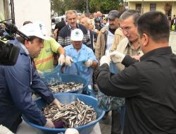 Belediye Önünde 'bedava Hamsi' Kuyruğu