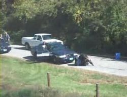 Abd'de Sahibinden Kaçan Maymun Polise Saldırdı