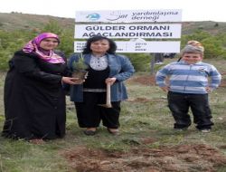 Hatıra Ormanlarını Çevre Ve Orman Müdürlüğü Kuruyor Ve Koruyor