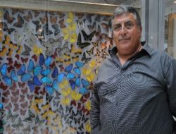 Atatürk Havalimanı'na On Binlerce Kelebek Misafir Oldu