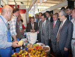 Fuar Ve Kongreler Merkezi, Samsun'un Cazibesini Artıracak