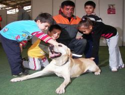 Aks'ın Köpekleri Pet Show Da 2010'da Göz Doldurdu