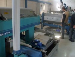 Ekolojik Modüler Kontini Sistemle Çalışan Fabrika, Günde 60 Ton Zeytin İşleyecek