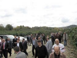 Bataklığı Bahçe Yaptı, Yılda 60 Ton Kivi Üretiyor