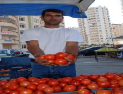 Domatesin Kilosu Bir Haftada Yüzde 50 Ucuzladı