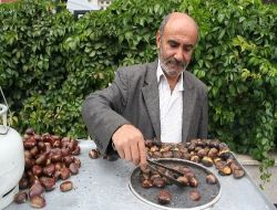 Kış Akşamlarının Vazgeçilmez Tatlarından Kestane Tezgahlarda Yerini Aldı