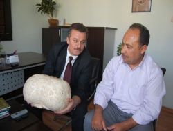 5 Kilogramlık Dev Mantar Görenleri Şaşırtıyor
