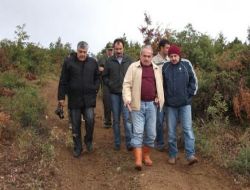 Silvikültür Ağaçlandırma Çalışmaları Devam Ediyor