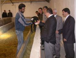 İstanbullu İşadamı Bayburt'ta Çiftlik Açtı