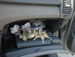 Zengin Müşterilerine Kokain Servis Eden Şebekeyi Jandarma Çökertti!