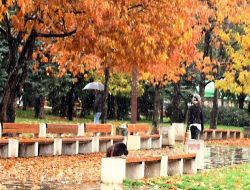 Sofya'da Mevsimin İlk Kar'ı, Dökülen Yaprakların Üzerine Yağdı