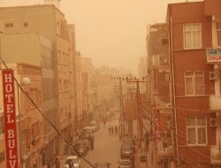 Nusaybin'de Toz Bulutu Hayatı Olumsuz Etkiliyor!.