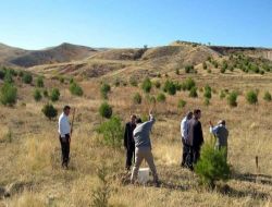 Adıyaman'da Yeşil Rüya Projesi İle Köyden Kente Göç Önlenecek