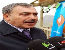 Bakan Eroğlu: İkizdere'deki Hes'lerle İlgili Medya Bilgi Almadan Çok Yanlış Başlık Atıyor