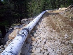 Muğla'da Damlama Ve Yağmurlu Sulama Sistemine Geçiliyor