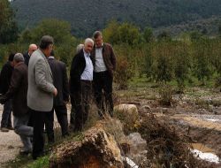 Ak Parti Milletvekili Tutan Sel Bölgesini Gezdi