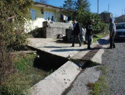9 Büyükbaş Hayvanda Şap Hastalığı Belirlendi