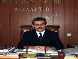 Osmaniye'de 61 Bin 400 Büyükbaş Hayvana Şap Aşısı Yapılacak
