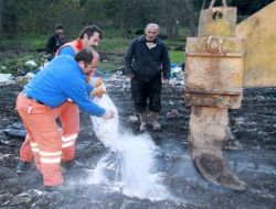 Rize'de Kaçak At Etleri İmha Edildi!!