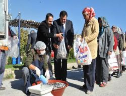 Ankara Büyükşehirden Belediyesi'nden Dar Gelirli Ailelere Bedava 'hamsi'