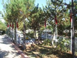 Bir Şehit Acısı Daha