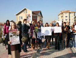 10 Yaşındaki Çocuğun Kediyi Köpeğe Parçalatması Hayvan Severleri Ayağa Kaldırdı