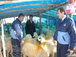 Belirlenen Yerlerin Dışında Kurban Satışı Ve Kesimi Yapılmayacak