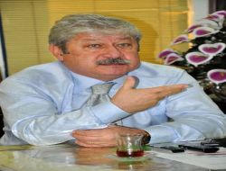 Chp'li Akaydın: "Tartışmalar Bazen Fırsatlar Doğurabilir"