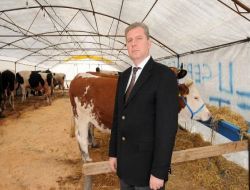 Çorlu Canlı Hayvan Pazarı Kurban Bayramı'na Hazır