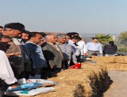 Adana'da 'en Güzel İnek' Yarışması Düzenlendi