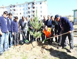 Palandöken Belediyesi Parklara Fidan Dikti