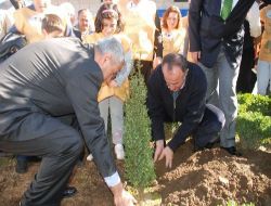 İş Bankası'nın 41'inci Ormanı Rize'ye..