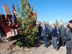 Suşehri Sanayi Sitesi'nin Çevresi Ağaçlandırılıyor