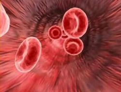 İnsan Derisinden Kan Üretildi