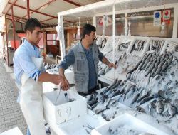 Balığı Pişirip Satınca İşleri Açıldı!