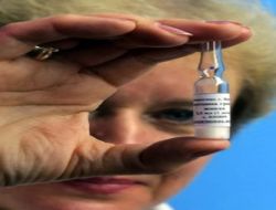 Rusya'da Domuz Gribi Aşısının İlk Denemesi Yapıldı