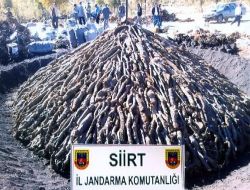 Siirt'te Kaçak Sigara Ve Çaylara El Konuldu