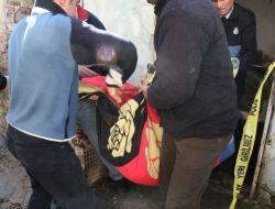 Yalnız Yaşayan İhtiyar Kadın Ölü Bulundu
