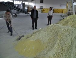 Yozgat'ta Günde 15 Ton Kükürt Üretimi Yapan Mz'nin Hedefi İhracat