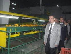 Vali Lekesiz: Erzin Narenciyesi Hak Ettiği Yeri Bulacak!