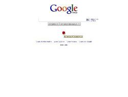 Google, Atatürk'ü Karanfille Andı!