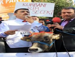 Memurlar, Kurbanlık Fiyatlarını 'danalı Eylem'le Protesto Etti