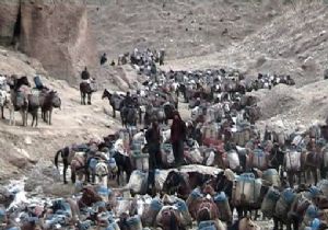 Kaçakçıların Şifresi Çözüldü!