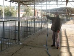 Edremit Hayvan Pazarı İlaçlandı
