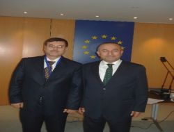 Avrupa Konseyi Yerel Ve Bölgesel Yönetimler Kongresi'ne Şanlıurfa'dan Temsilci
