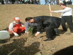 Deprem Şehitlerinin Adı, Düzce Üniversitesi'ndeki Hatıra Ormanında Yaşayacak!!